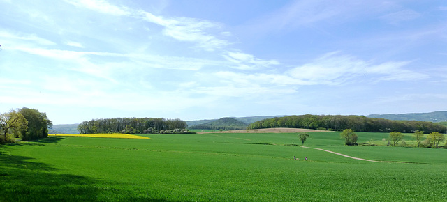 DE - Remagen - Auf der Apollinaris-Schleife