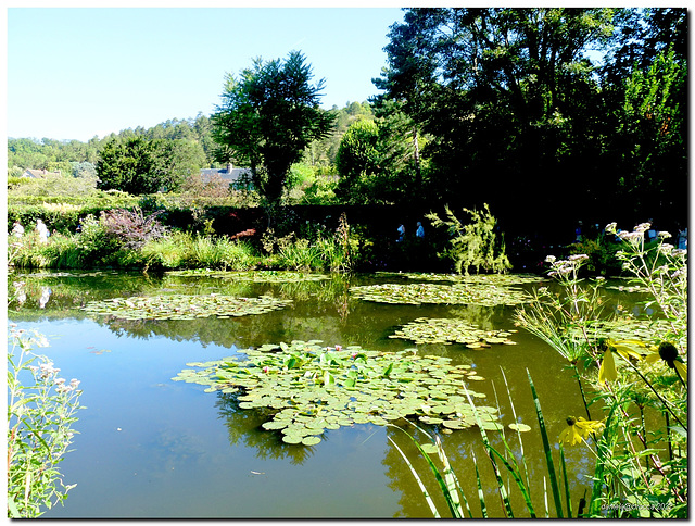 Stagno con ninfee nel giardino di Monet a Givergny