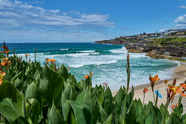 Tamarama Beach