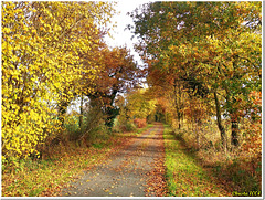 Noch ein letztes Herbstfoto...