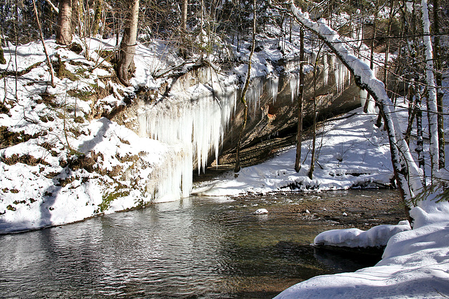 die ersten kleinen Eiszapfen (Zoom im PIP)