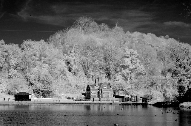 Swanbourne Lake