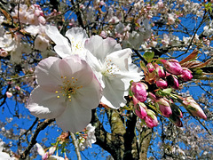 IMG 20260319 145351(a)(1)R