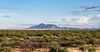 Sierra de San José Mountain