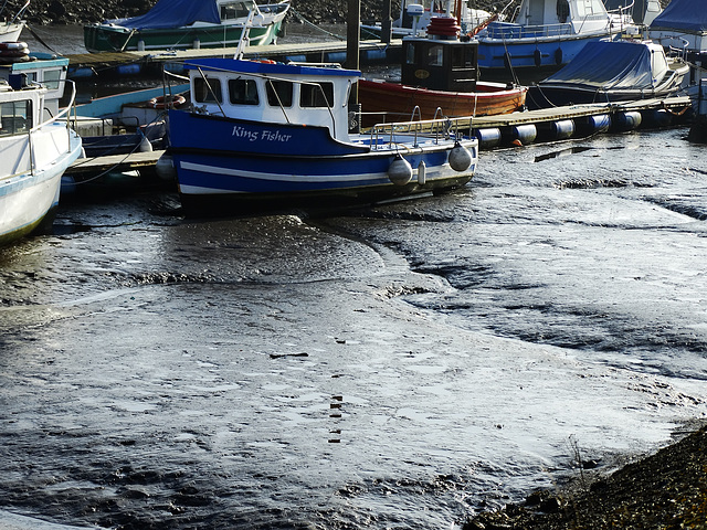 A Muddy Day at The Gut. Willington. N.Tyneside