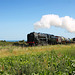 B.R. Standard class 9F 2-10-0 92203 BLACK PRINCE near Sheringham with 9M16 11.28 Sheringham - Holt Goods 2nd September 2017