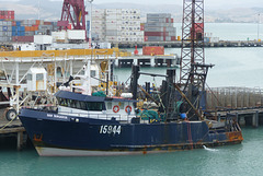 San Tangaroa at Napier - 26 February 2015