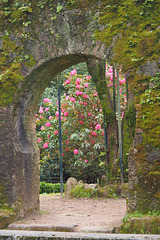 Arch and Flowers