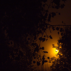 just another painful night ... just another painful night ...