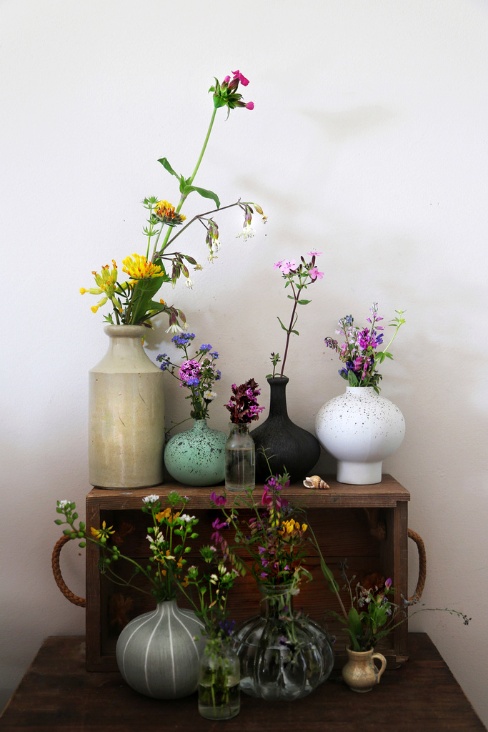 wildflowers