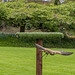 Chester cathedral falconry27