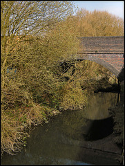 Castle Mill Stream at Walton Well