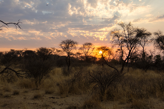 Namibia-0692