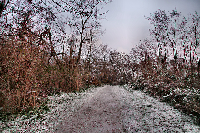 Weg auf dem Kamm des Alsumer Berg (Duisburg-Bruckhausen) / 17.12.2022