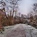 Weg auf dem Kamm des Alsumer Berg (Duisburg-Bruckhausen) / 17.12.2022