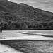 Cape Tribulation Beach