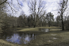 Altwasserlandschaft der Glatt zwischen Oberglatt und Rümlang (© Buelipix)