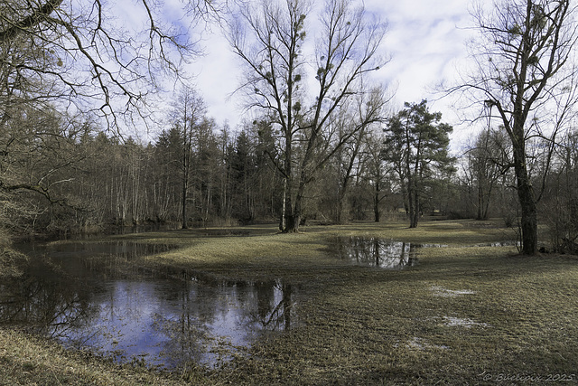 Altwasserlandschaft der Glatt zwischen Oberglatt und Rümlang (© Buelipix)