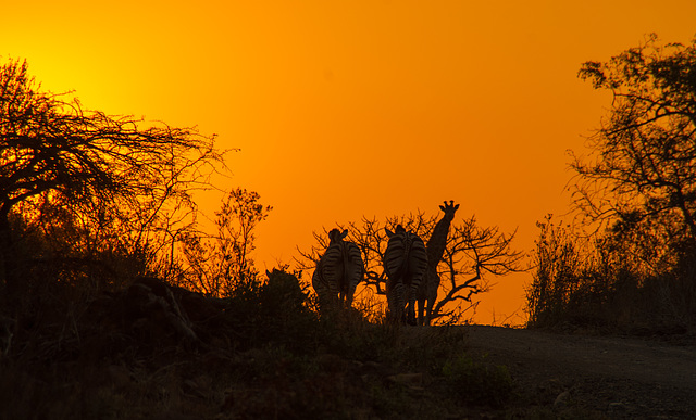 South African sunset