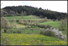 paysage printanier vers Freycenet -Latour