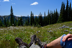 lunch spot view