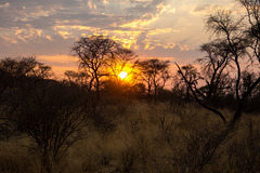 Namibia-0694