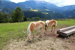 HFF und allen Ipernityfreunden ein erholsames und sonniges Wochenende