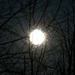 Eerie moon near Halloween