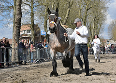 Epreuve de trot - Prise de risque !!!