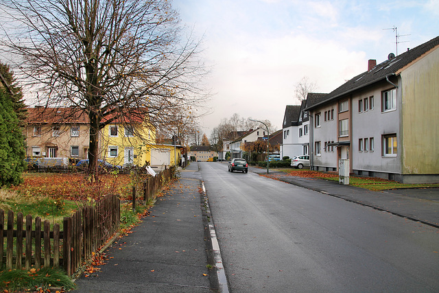 Pröbstingstraße (Kamen-Heeren-Werve) / 25.11.2017