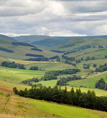 Scotland St. Cuthbert's Way (PiP)