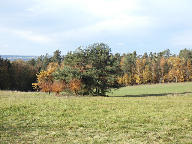 am Fuß des Schwarzerberges