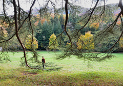 Forêt de Saou (26) et mon petit-fils Killian*********