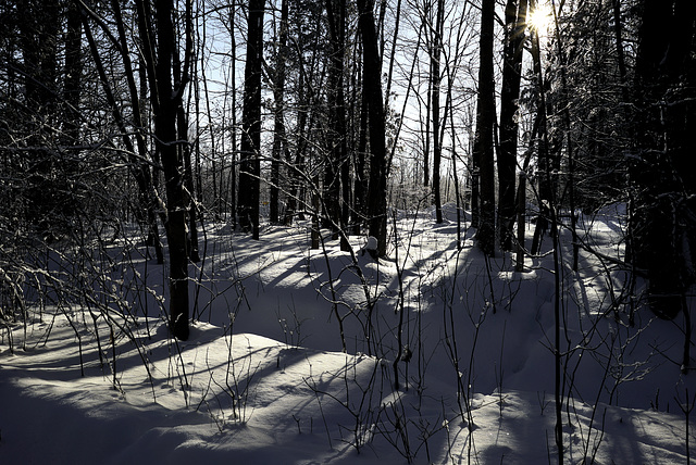 Snow shadows early morning