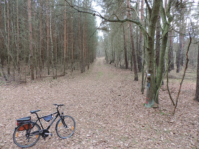 Pause auf dem Hochstand...