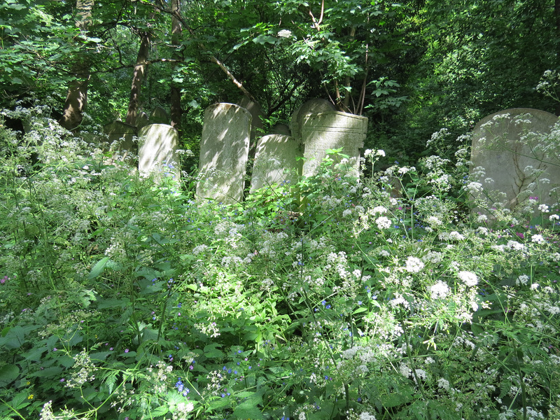 tower hamlets cemetery , london