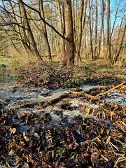 Galenbecker See Nr. 2