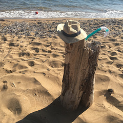 Wild shores.