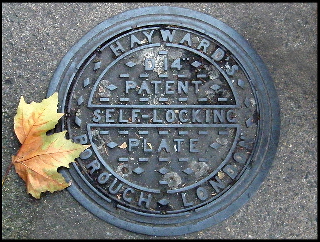 Hayward patent self-locking