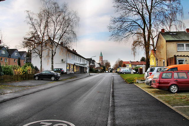 Pröbstingstraße (Kamen-Heeren-Werve) / 25.11.2017