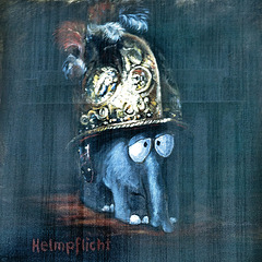 Helmpflicht - Hamburg-Altona