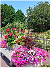 Flower bench - HBM Flower bench - HBM