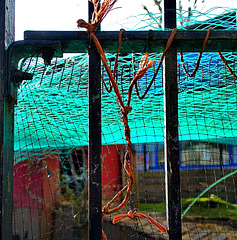 Fencing and Netting For The Ducks and Chucks