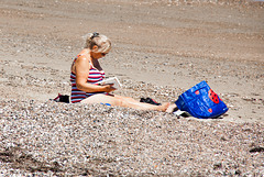 Ladybird on a Beach