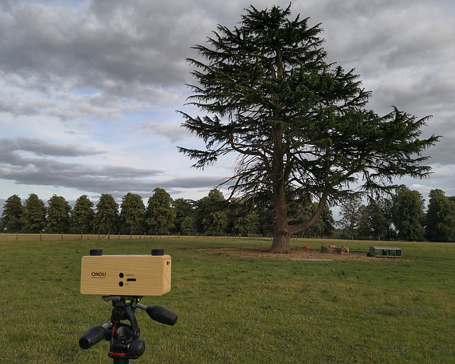 Using my Ondu pinhole camera.