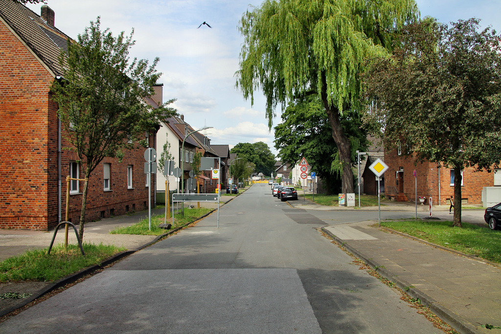 Ebelstraße (Bottrop-Ebel) / 9.06.2019