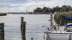 20190908 6073CPw [D~NVP] Hafen + Jachthafen, Zingst