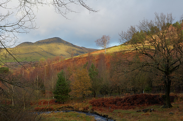 Chew Brook