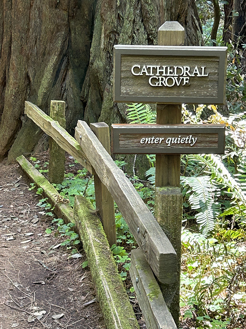 Muir Woods Muir Woods