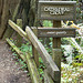Muir Woods